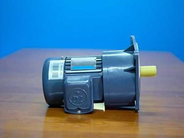 Thay thế Motor Dolin bằng Donly giải pháp tối ưu cho nhà máy nhiệt điện 2 Thay thế Motor Dolin bằng Donly giải pháp tối ưu cho nhà máy nhiệt điện 2